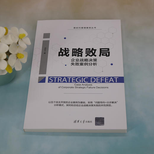 战略败局：企业战略决策失败案例分析（新时代管理案例丛书） 商品图2