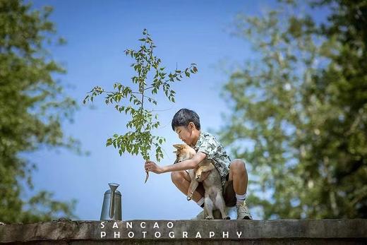 三草摄影8周年大促 商品图7