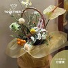 果冻膜opp 商品缩略图5
