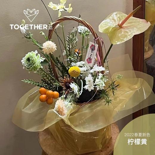 果冻膜opp 商品图5