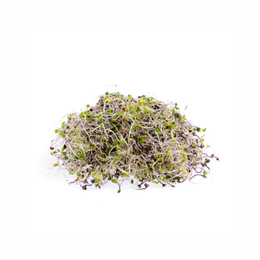 混合芽(紫甘蓝芽、西兰花芽) Red Cabbage Microgreens ＆ Broccoli Sprouts 商品图1