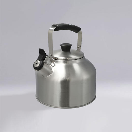 笛音壶 2L/3.6L Days 商品图0