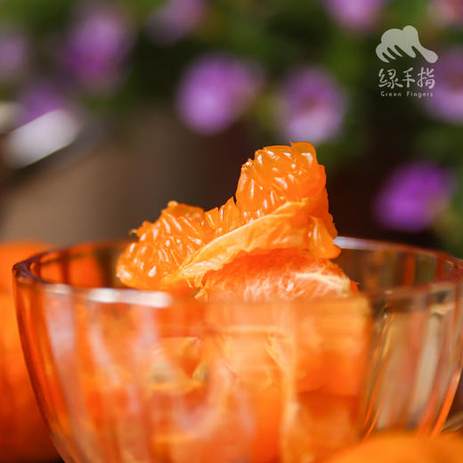 生态南瓜橘 | 合作生产 *Ecological Pumpkin Orange | Coproduction 商品图1