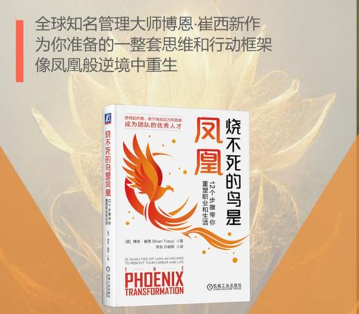 官网 烧不死的鸟是凤凰 12个步骤带你重塑职业和生活 博恩 崔西 职场生活成功励志书籍 商品图3