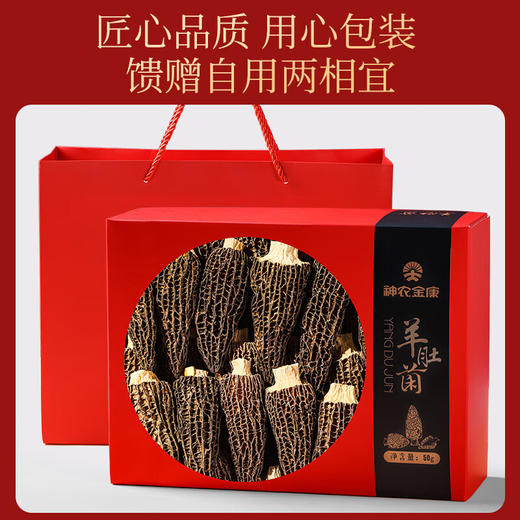 神农金康 羊肚菌新鲜羊肚菌干货  新中式滋补礼 原生态真滋补 喝护家人健康 商品图0