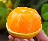 伦晚帝王春橙，只在春天见，细嫩爆汁，“橙”意十足 商品缩略图1