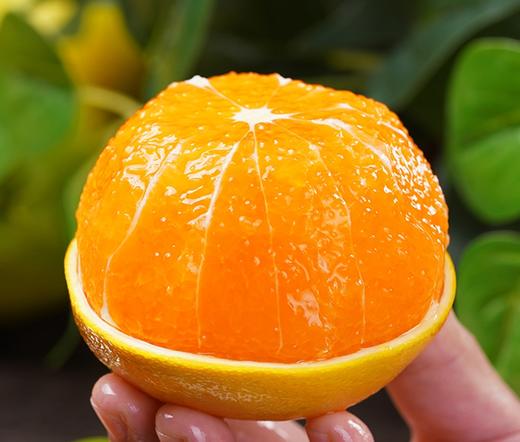 伦晚帝王春橙，只在春天见，细嫩爆汁，“橙”意十足 商品图1