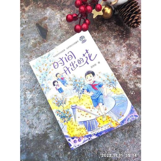 时间开出的花/好孩子 商品图1