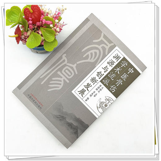 中医骨伤学术流派渊源与创新发展 苗德胜 吕发明 著 中国中医药出版社 书籍 中医骨科学书籍 商品图2