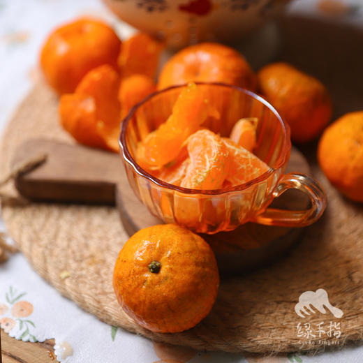 生态南瓜橘 | 合作生产 *Ecological Pumpkin Orange | Coproduction 商品图0