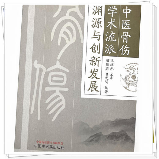 中医骨伤学术流派渊源与创新发展 苗德胜 吕发明 著 中国中医药出版社 书籍 中医骨科学书籍 商品图4