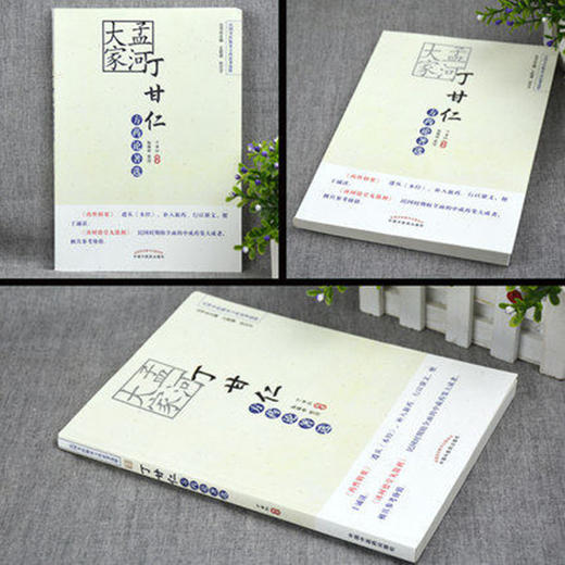 孟河大家丁甘仁方药论著选【丁甘仁】 商品图2