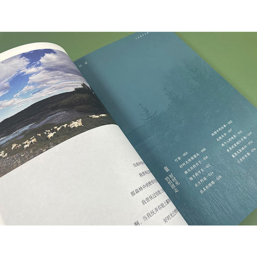 也是冬天,也是春天 升级彩插版 商品图4