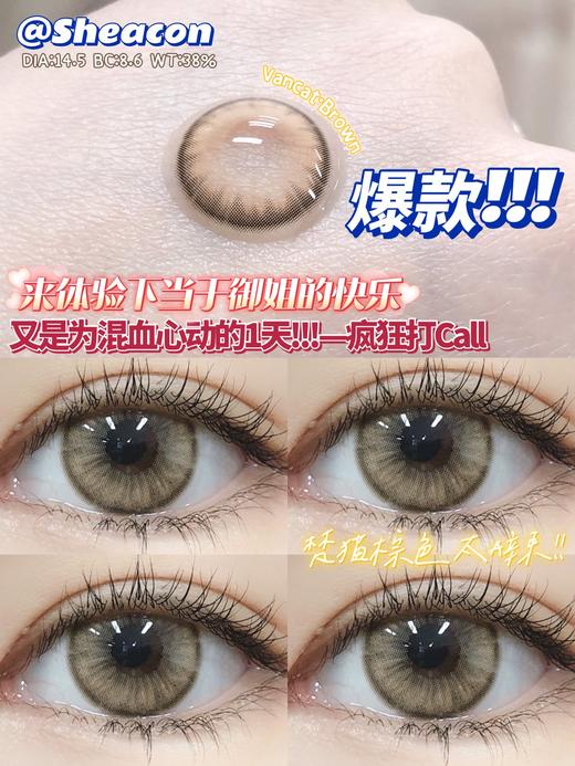正品年抛 | Sheacon系列樊猫棕美瞳 | 直径14.5着色13.7 | 韩国产 商品图2