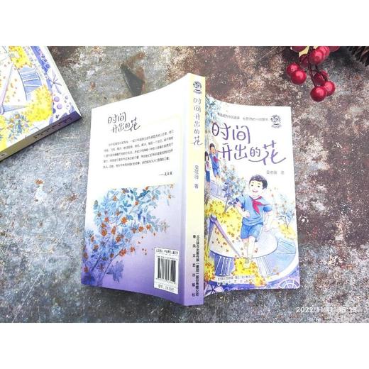 时间开出的花/好孩子 商品图4