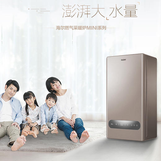 海尔（Haier）壁挂炉 L1PB20-HM(T) 商品图0