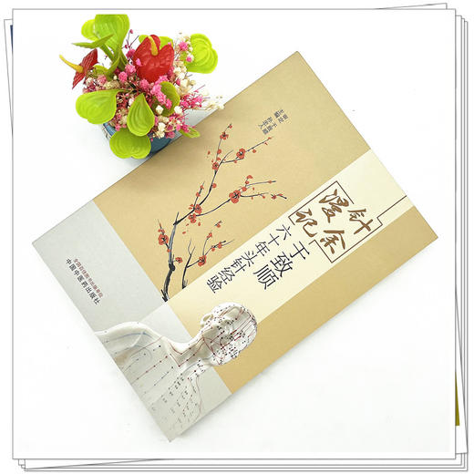 针余漫记：于致顺六十年头针经验  孙忠人 著  中国中医药出版社 书籍 商品图2