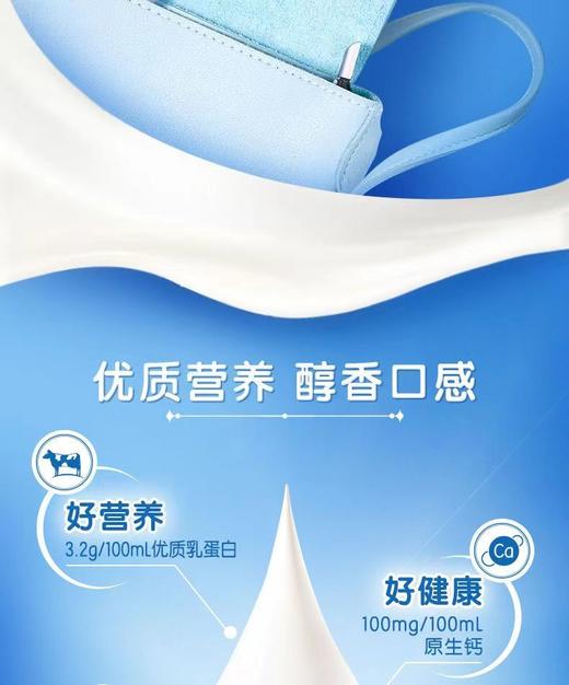 伊利  纯牛奶250ml*24盒y【FY】 商品图4