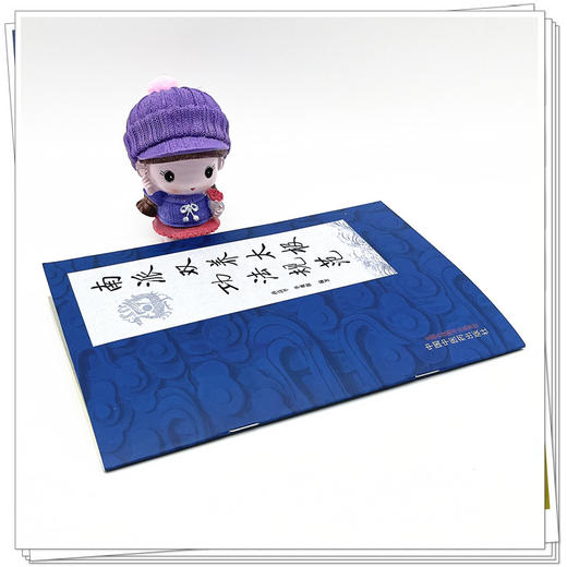 南派双养太极功法规范 孙高平 李观保 主编 中国中医药出版社 书籍 商品图3