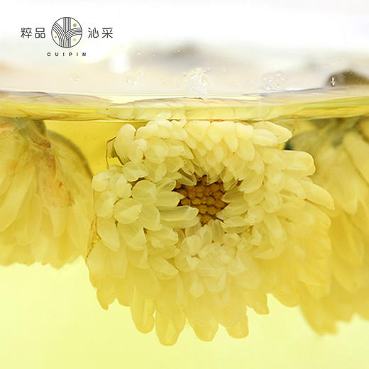 粹品沁采桐乡胎菊80g菊花 商品图1