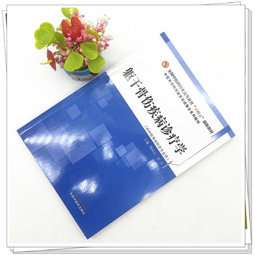 躯干骨伤疾病诊疗学  杨凤云 张兵 著 全国中医药行业高等教育十四五创新教材 中国中医药出版社 书籍 商品图2