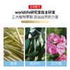 日本 Worldlife和匠 植物香珠 防叮咬 长时效室内芳香剂 商品缩略图6