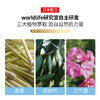 【拍5盒更划算】日本 Worldlife和匠 植物香珠 防叮咬 长时效室内芳香剂 商品缩略图6