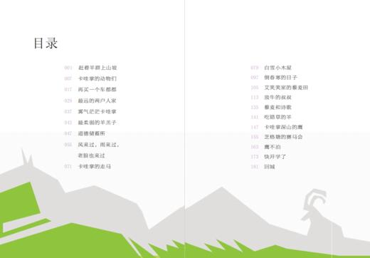 天边的卡哇掌  书写孩子们在充满希望的田野上的新生活、新奋斗 商品图1