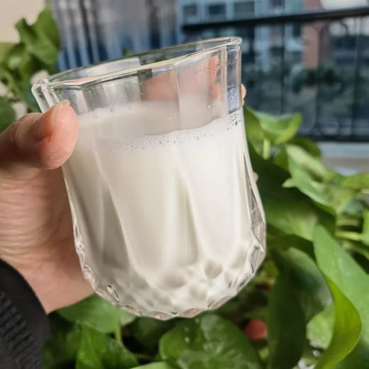 那拉丝醇·有机全脂纯羊奶粉  脂肪颗粒小易吸收  成人儿童均可 商品图6