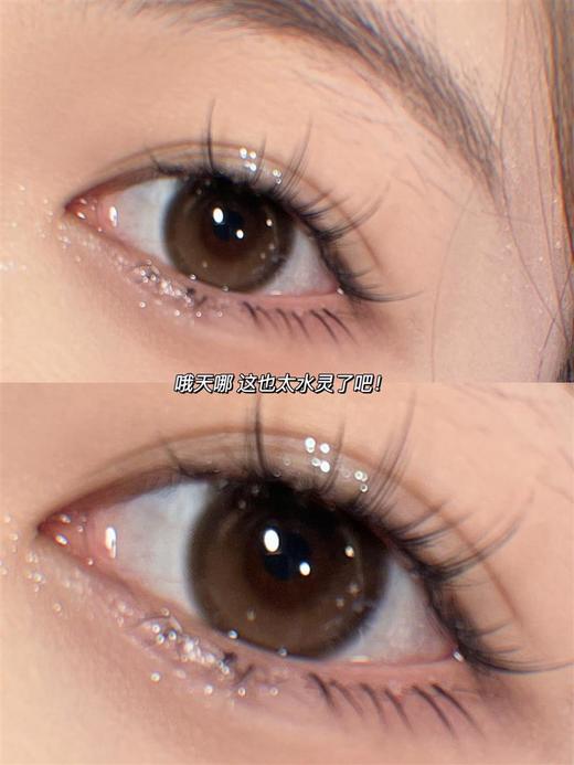 Crush see正品年抛 | 南瓜乐乐美瞳 |直径14.5着色13.8 | 韩国产 商品图2