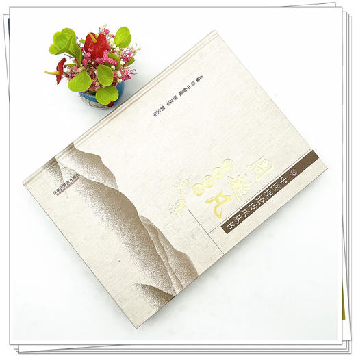 周超凡学术传承文集 于智敏 张立平 著 中国中医药出版社 中医理论传承丛书  书籍 商品图2