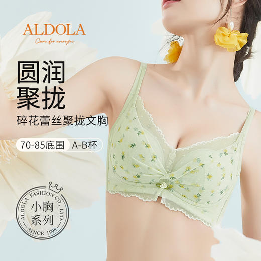 内衣女小胸聚拢碎花蕾丝无钢圈薄款透气文胸甜美风 商品图0