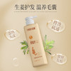 征服生姜强韧养发洗发乳335ml 青蒿止痒护发洗发水去屑控油蓬松洗头膏 商品缩略图0