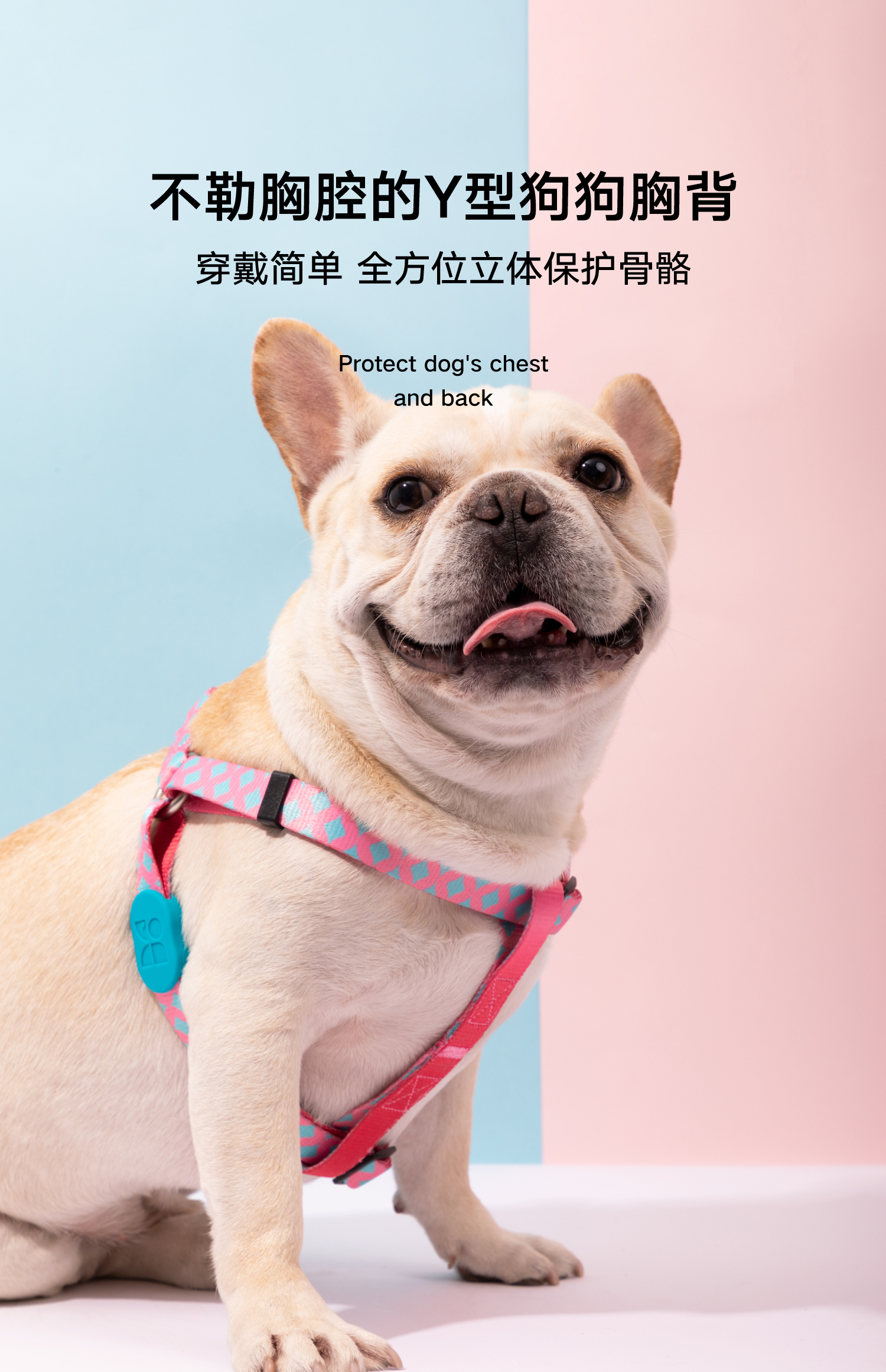 hidream缤纷狗狗胸背带牵引绳 宠物y型背心式遛狗用品小中大型犬