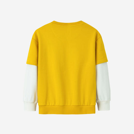 LEVIS 春 大童小童 卫衣 LVB-FW-H670 商品图1