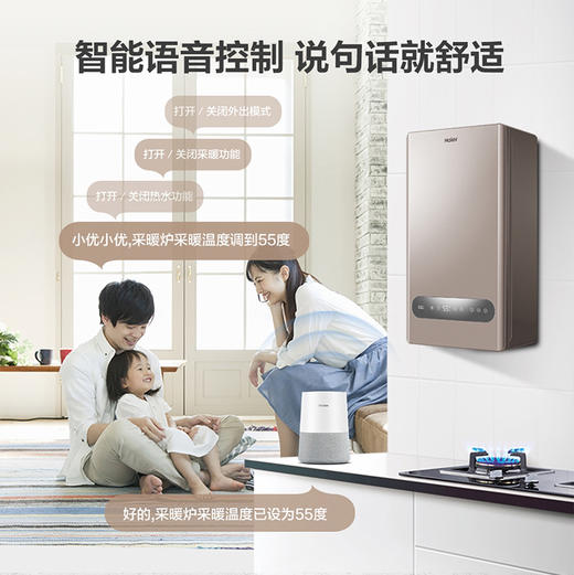 海尔（Haier）壁挂炉 L1PB20-HM(T) 商品图3