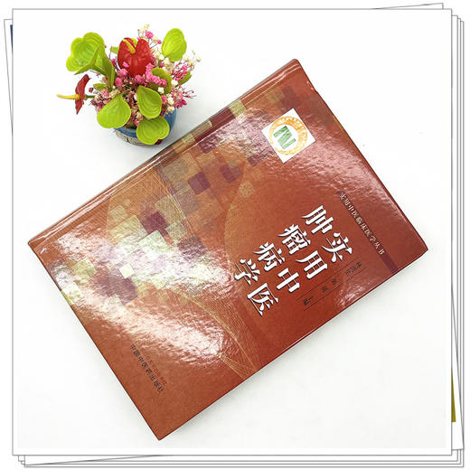 实用中医肿瘤病学 林洪生 张英 著 实用中医临床医学丛书 中国中医药出版社 肿瘤学书籍 商品图2