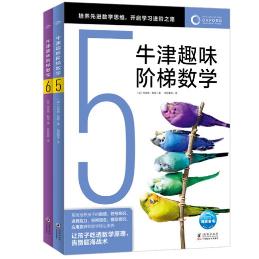 牛津趣味阶梯数学K-6 送小学霸数学进阶课和配套的超800道训练题库 商品图7