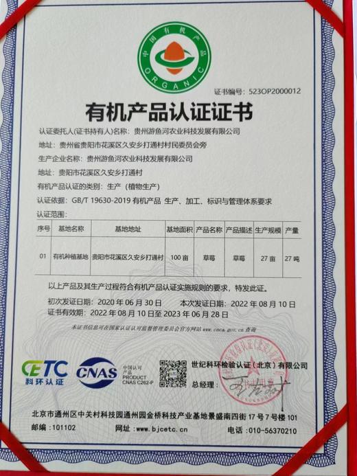 【GYZYD】花溪有机草莓 约3斤/筐 商品图5