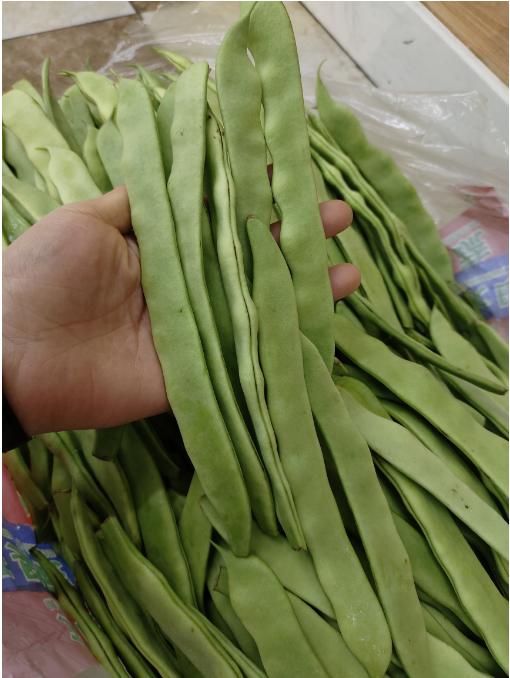 扁豆角2斤（拼团） 商品图2