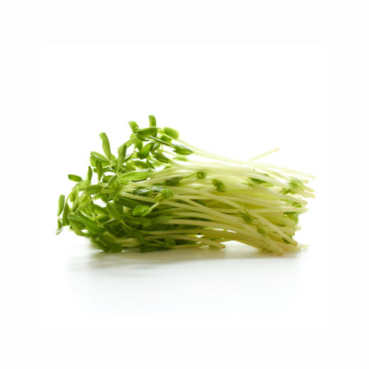 有机豌豆苗  Organic Pea Sprouts 商品图1