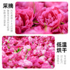 璞匠 平阴重瓣玫瑰花茶干玫瑰花冠茶花瓣食用干花泡茶大朵罐装 商品缩略图3