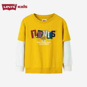 LEVIS 春 大童小童 卫衣 LVB-FW-H670