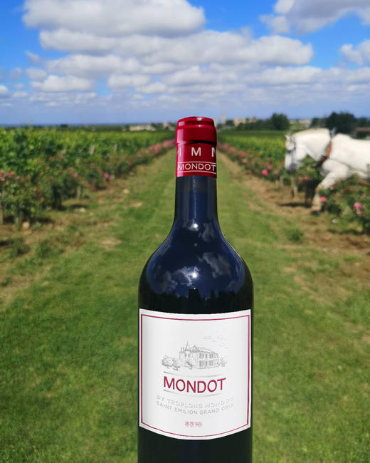 Mondot 蒙特酒堡干红葡萄酒 商品图3