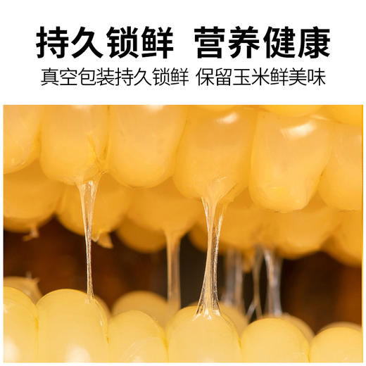 【远系玉米新升级   甜粒糯粒1:1】  远系玉米 🌽 一棒玉米两种口感  玉米届中的“劳斯莱斯”​ 🌽 非近亲杂交！种源正宗！！非转基因！无添加 ​ 🌽 商品图3
