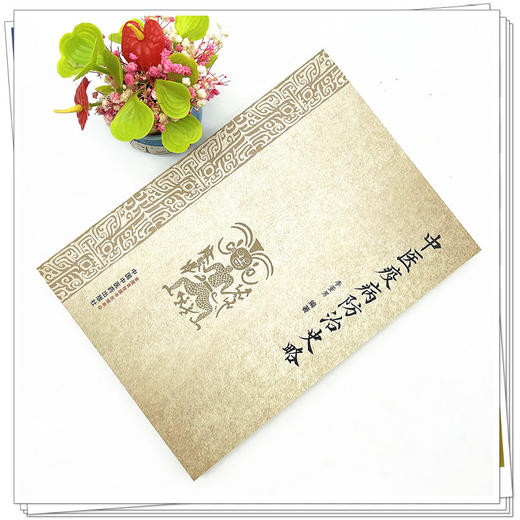 中医疫病防治史略 李董男 编著 中国中医药出版社 中医 书籍 商品图2