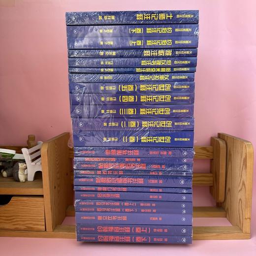【85折】天道SJ注释系列全17卷共25本，首部华人自己写的圣经注释书 商品图2