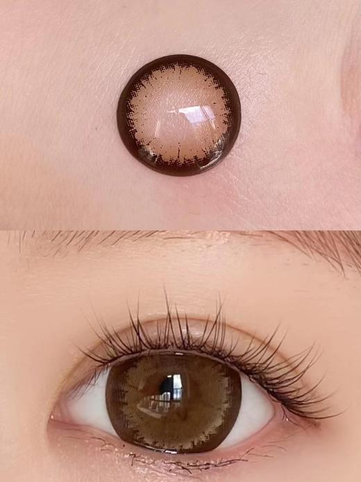 大直径年抛 agenscolor超大波斯菊棕美瞳 直径14.5着色14.4 韩国 商品图4