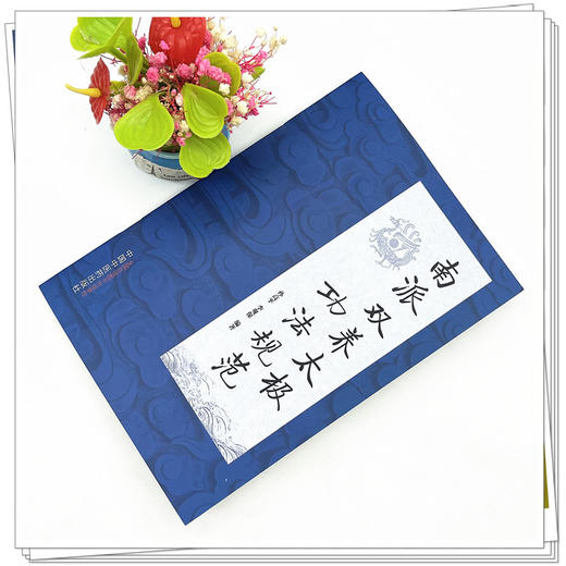 南派双养太极功法规范 孙高平 李观保 主编 中国中医药出版社 书籍 商品图2