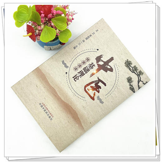 中医基础理论精要速读 王卫 李岩琪 徐一兰 主编 中国中医药出版社 中医基础理论 中医入门 经典速记 书籍 商品图2